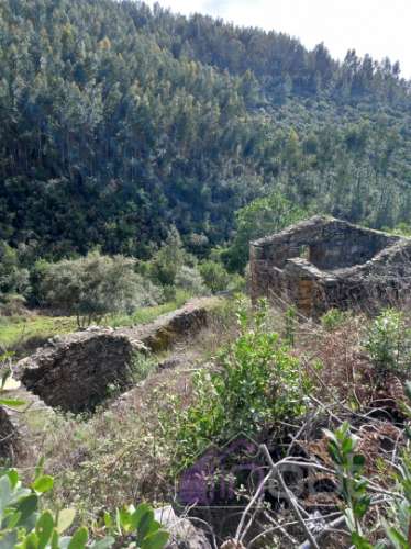 Quinta , Castelo Branco, Caste