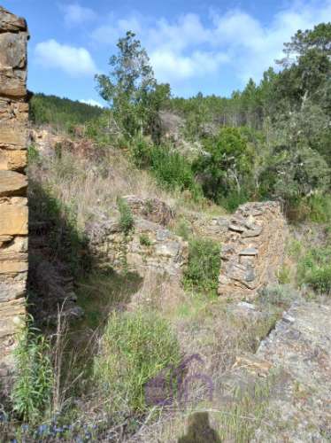 Quinta , Castelo Branco, Caste