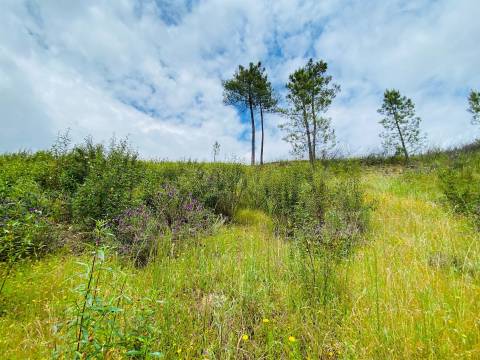 Casa de Aldeia Encantadora Junto ao Rio – Refúgio na Serra a 25km da Cidade