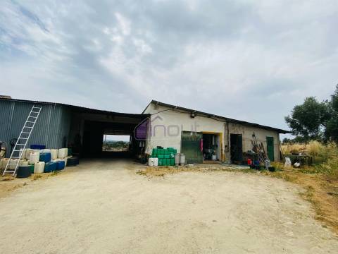 Propriedade Agrícola com 20 Hectares – Excelente Potencial e Preço Atraente