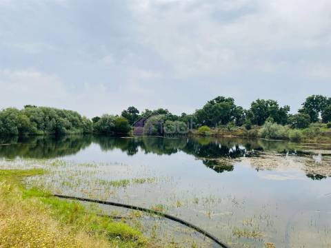 Propriedade Agrícola com 20 Hectares – Excelente Potencial e Preço Atraente