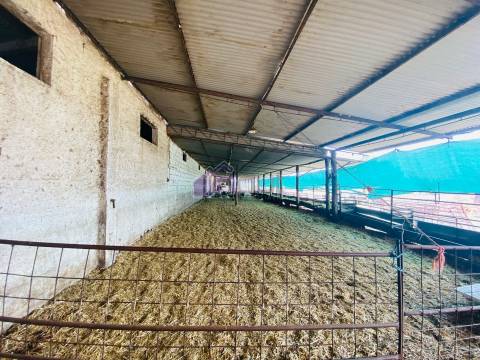 Propriedade Agrícola com 20 Hectares – Excelente Potencial e Preço Atraente