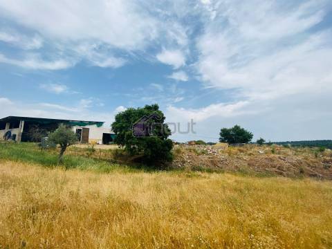 Propriedade Agrícola com 20 Hectares – Excelente Potencial e Preço Atraente