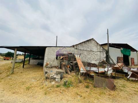 Propriedade Agrícola com 20 Hectares – Excelente Potencial e Preço Atraente