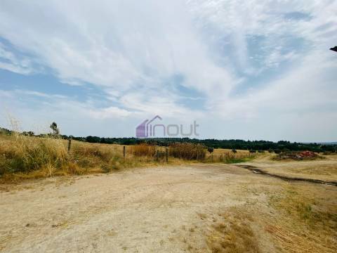 Propriedade Agrícola com 20 Hectares – Excelente Potencial e Preço Atraente