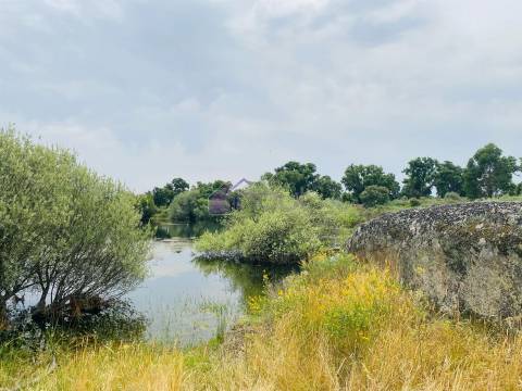 Propriedade Agrícola com 20 Hectares – Excelente Potencial e Preço Atraente