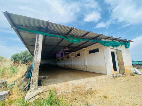 Propriedade Agrícola com 20 Hectares – Excelente Potencial e Preço Atraente