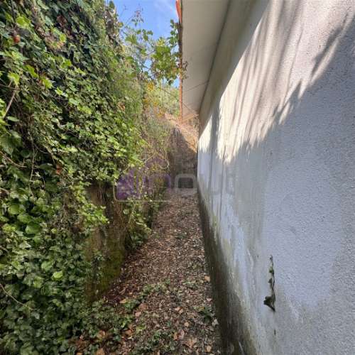 Refúgio de Sonho em Plena Natureza – Quinta com 21.570 m², 2 Moradias, Furo e Árvores de Fruto | Arr