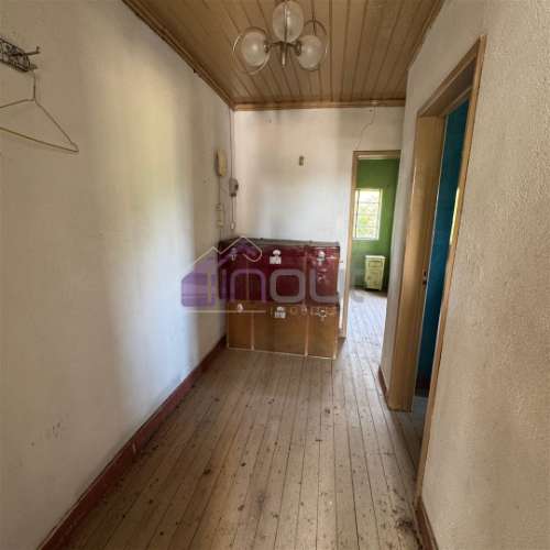 Refúgio de Sonho em Plena Natureza – Quinta com 21.570 m², 2 Moradias, Furo e Árvores de Fruto | Arr