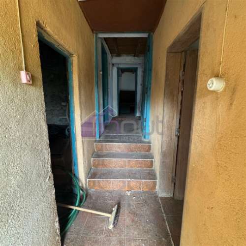 Refúgio de Sonho em Plena Natureza – Quinta com 21.570 m², 2 Moradias, Furo e Árvores de Fruto | Arr