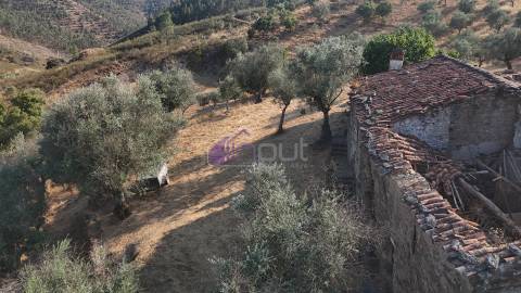 Moradia T4 Venda em Fratel,Vila Velha de Ródão