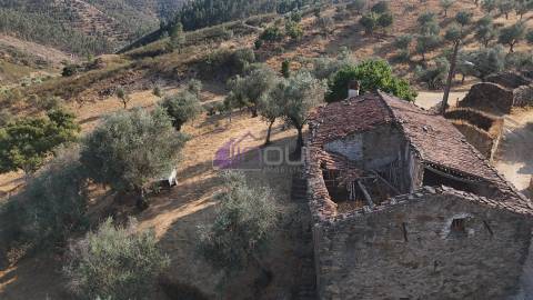 Moradia T4 Venda em Fratel,Vila Velha de Ródão