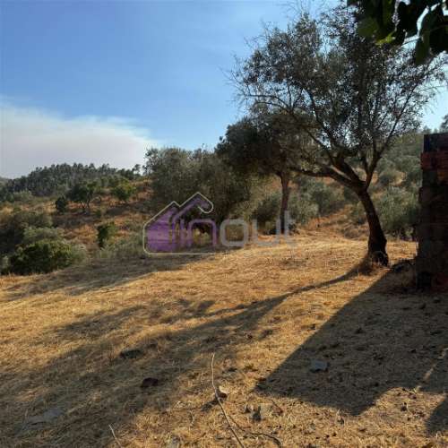 Moradia T4 Venda em Fratel,Vila Velha de Ródão