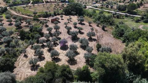 Terreno Rústico  Venda em Ladoeiro,Idanha-a-Nova