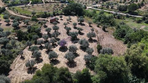 Terreno Rústico  Venda em Ladoeiro,Idanha-a-Nova