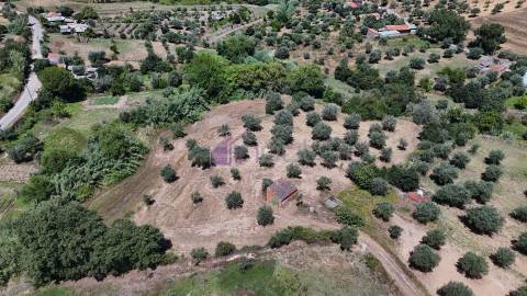 Terreno Rústico  Venda em Ladoeiro,Idanha-a-Nova