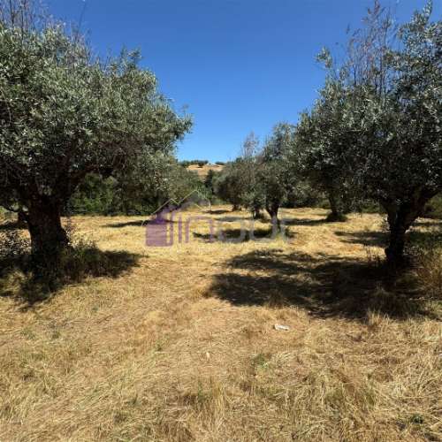 Terreno Rústico  Venda em Ladoeiro,Idanha-a-Nova