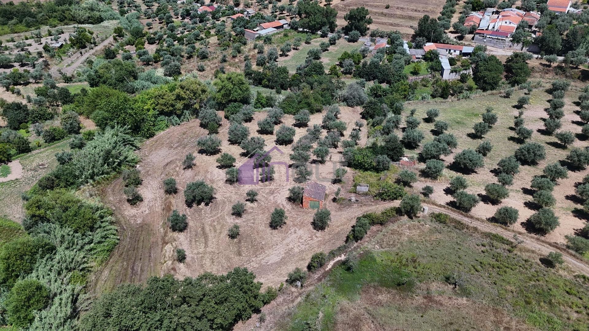 Terreno Rústico  Venda em Ladoeiro,Idanha-a-Nova