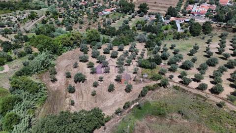 Terreno Rústico  Venda em Ladoeiro,Idanha-a-Nova