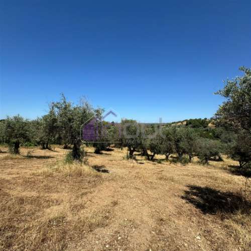Terreno Rústico  Venda em Ladoeiro,Idanha-a-Nova