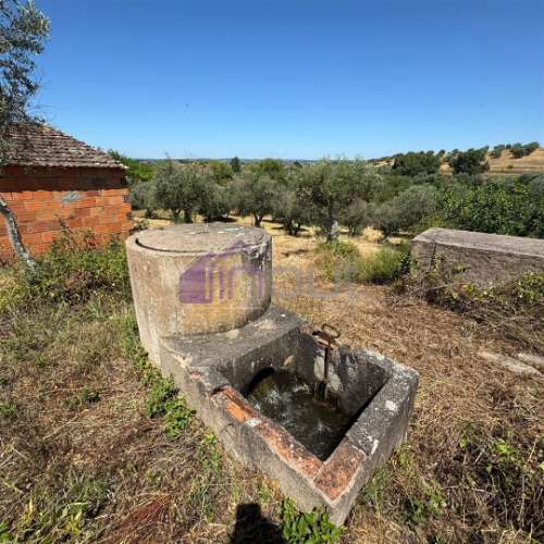 Terreno Rústico  Venda em Ladoeiro,Idanha-a-Nova