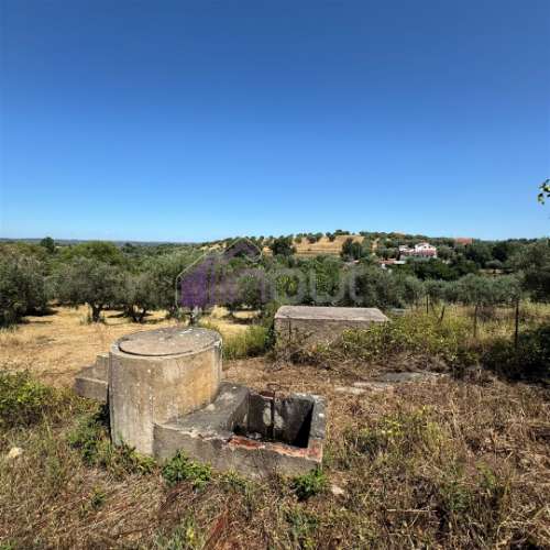 Terreno Rústico  Venda em Ladoeiro,Idanha-a-Nova