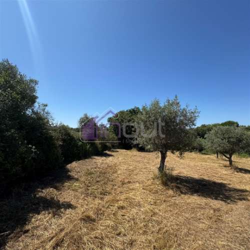 Terreno Rústico  Venda em Ladoeiro,Idanha-a-Nova
