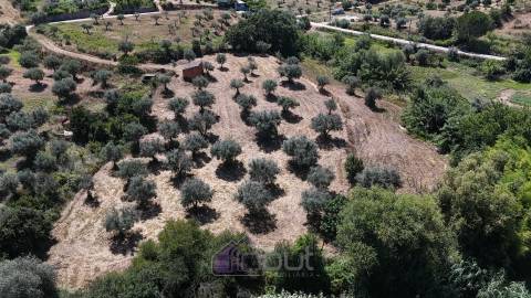Terreno Rústico  Venda em Ladoeiro,Idanha-a-Nova