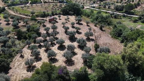 Terreno Rústico  Venda em Ladoeiro,Idanha-a-Nova