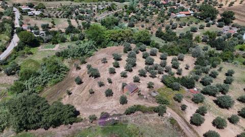 Terreno Rústico  Venda em Ladoeiro,Idanha-a-Nova