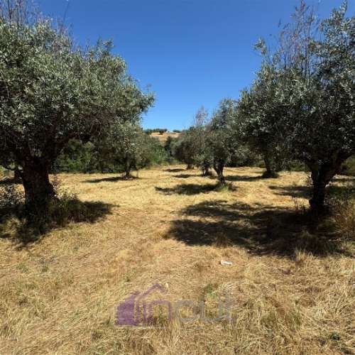 Terreno Rústico  Venda em Ladoeiro,Idanha-a-Nova