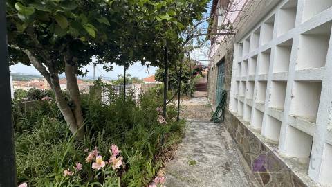 Moradia T7 Venda em Proença-a-Nova e Peral,Proença-a-Nova