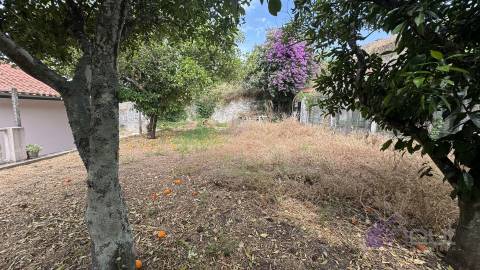 Moradia T7 Venda em Proença-a-Nova e Peral,Proença-a-Nova