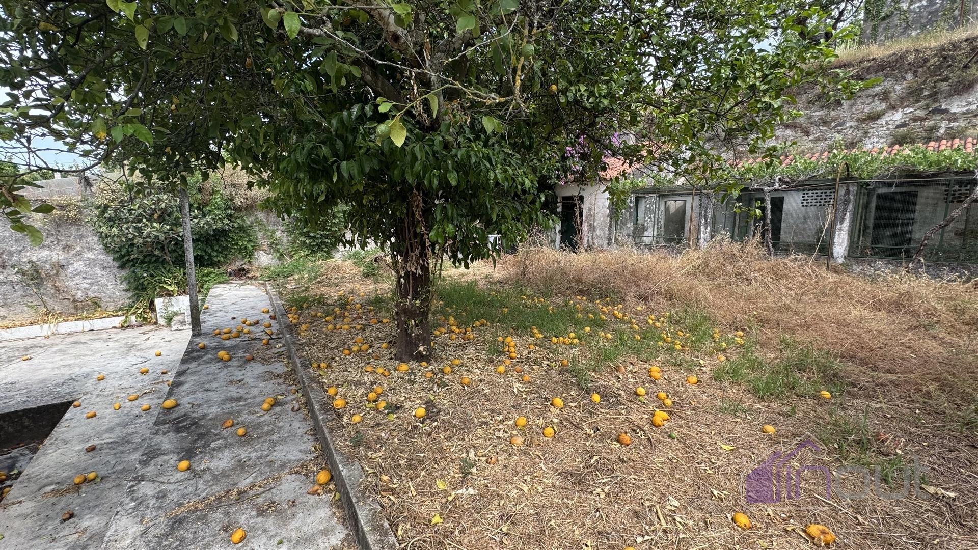 Moradia T7 Venda em Proença-a-Nova e Peral,Proença-a-Nova