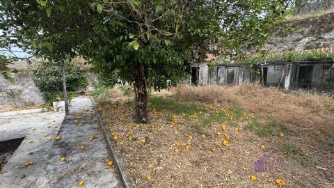 Moradia T7 Venda em Proença-a-Nova e Peral,Proença-a-Nova