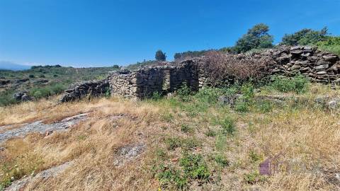 Quinta do Sobreiro – 26 Hectares de História, Natureza e Potencial no Coração da Beira Interior