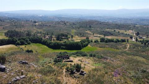 Quinta do Sobreiro – 26 Hectares de História, Natureza e Potencial no Coração da Beira Interior