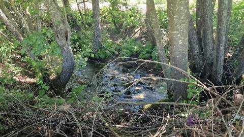 Quinta do Sobreiro – 26 Hectares de História, Natureza e Potencial no Coração da Beira Interior