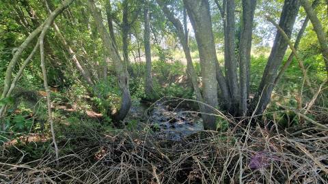Quinta do Sobreiro – 26 Hectares de História, Natureza e Potencial no Coração da Beira Interior