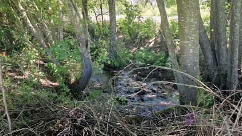 Quinta do Sobreiro – 26 Hectares de História, Natureza e Potencial no Coração da Beira Interior