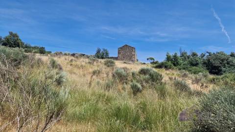 Quinta do Sobreiro – 26 Hectares de História, Natureza e Potencial no Coração da Beira Interior