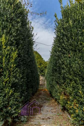 Mansão T7+4 Venda em Tortosendo,Covilhã