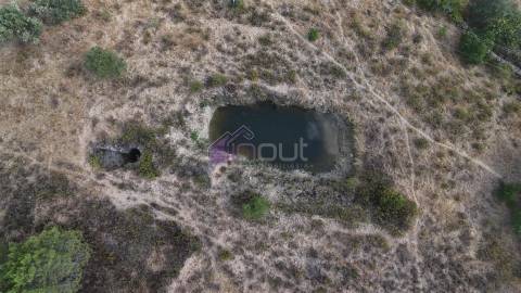 🌿 Terreno Rústico com 2.447 m² em Sarzedas – Castelo Branco