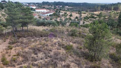 🌿 Terreno Rústico com 2.447 m² em Sarzedas – Castelo Branco