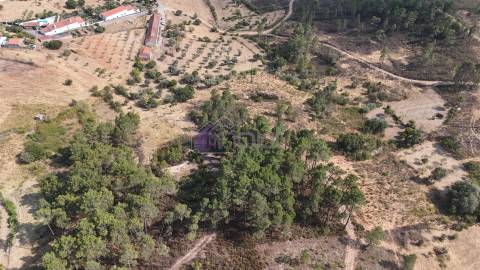 🌿 Terreno Rústico com 2.447 m² em Sarzedas – Castelo Branco