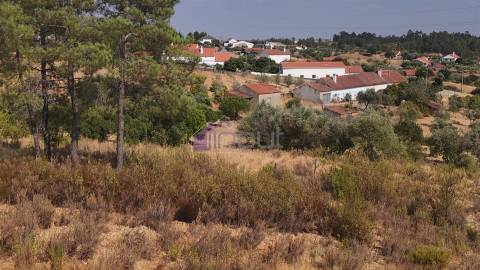 🌿 Terreno Rústico com 2.447 m² em Sarzedas – Castelo Branco