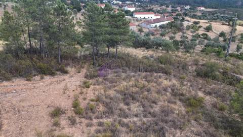 🌿 Terreno Rústico com 2.447 m² em Sarzedas – Castelo Branco