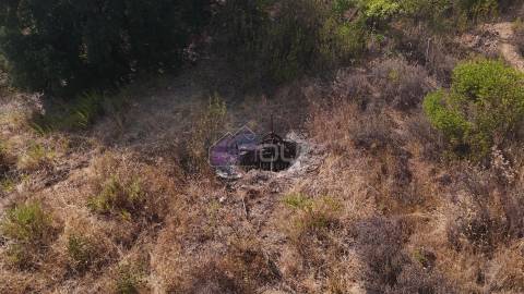 🌿 Terreno Rústico com 2.447 m² em Sarzedas – Castelo Branco