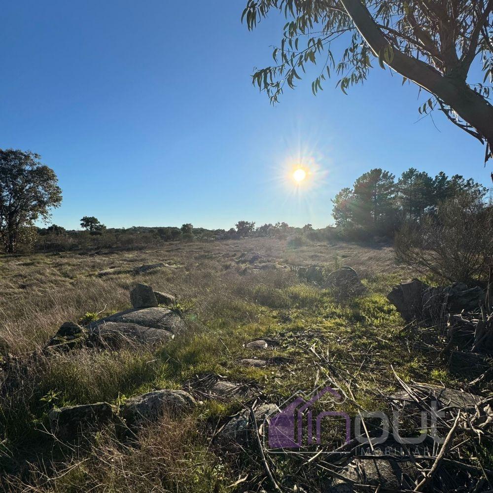🌳 Terreno com 10 ha, Murado, com Casa Rústica em Pedra – Próximo de Escalos de Cima, Castelo Branco