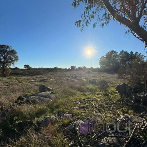 🌳 Terreno com 10 ha, Murado, com Casa Rústica em Pedra – Próximo de Escalos de Cima, Castelo Branco